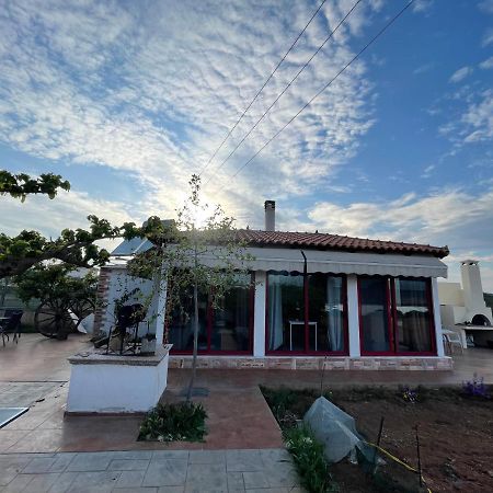 Country Lux Apartment Near Airport Markópoulon Esterno foto