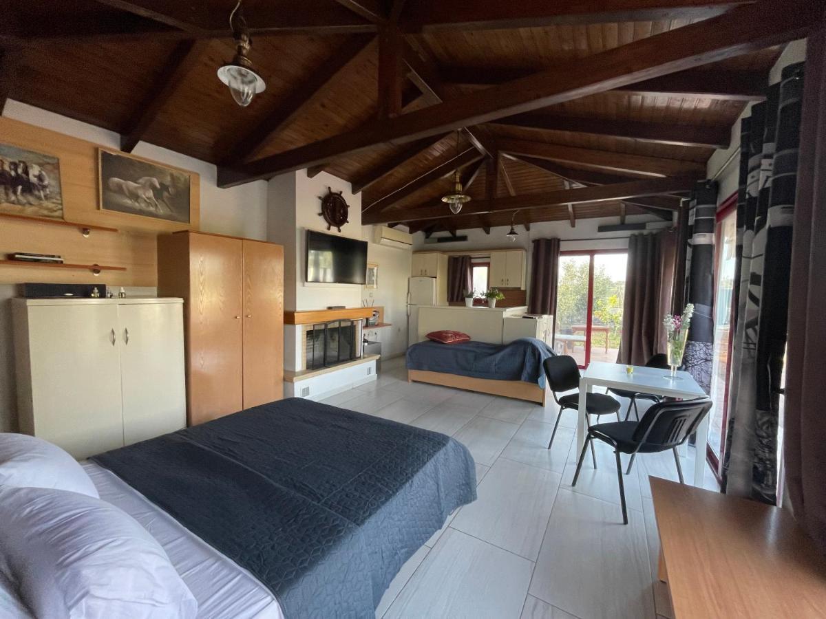 Country Lux Apartment Near Airport Markópoulon Esterno foto