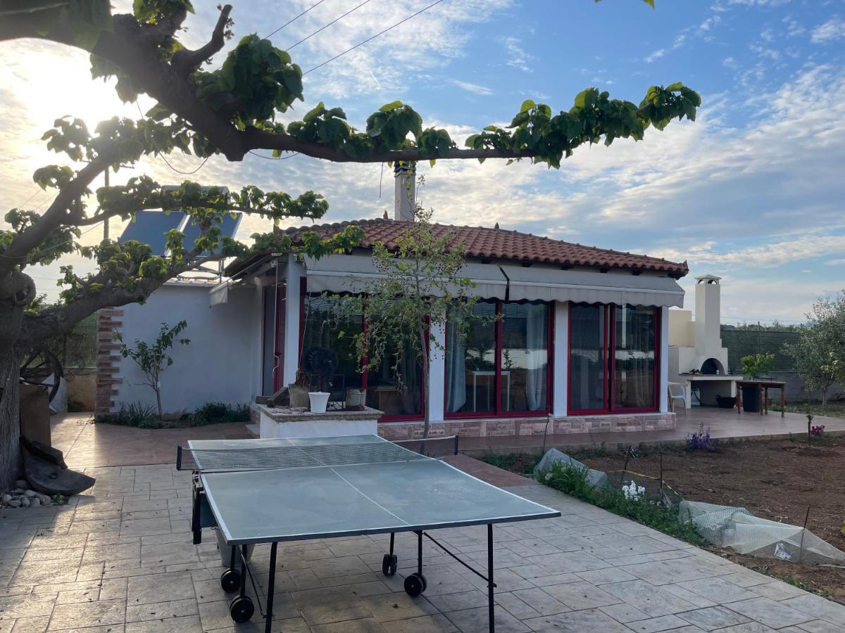 Country Lux Apartment Near Airport Markópoulon Esterno foto