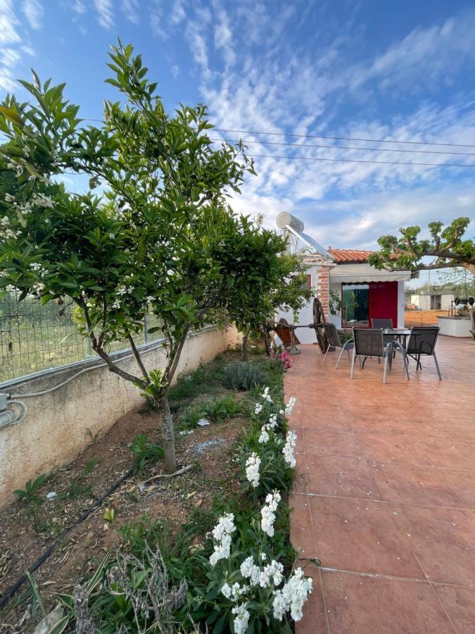 Country Lux Apartment Near Airport Markópoulon Esterno foto